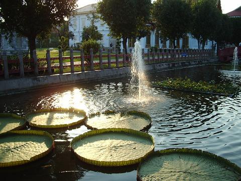 Buddha pond - what else?